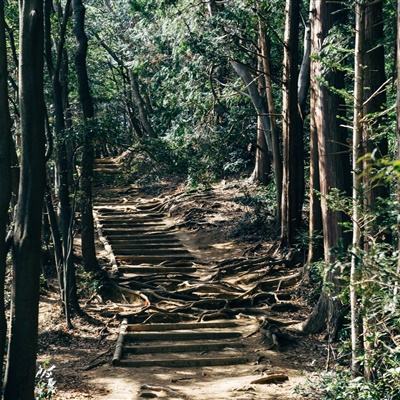 万国的纷争内购破解版下载